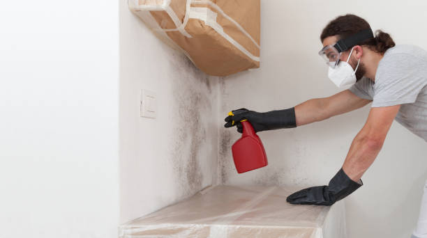 Professional Crawl Space Mold Remediation technician working in Hartfield, VA