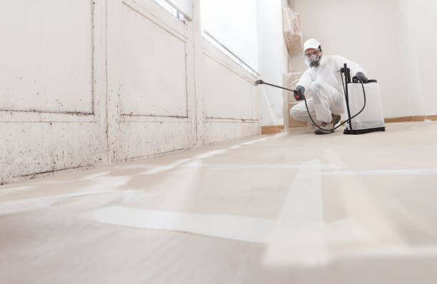 24/7 Emergency Crawl Space Mold Remediation experts in Hartfield, VA
