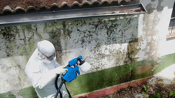 Top rated local Crawl Space Mold Remediation specialists in Hartfield, VA